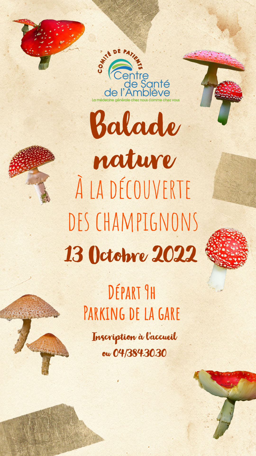 Balade nature _ champignons22